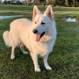 Meet your Posher, Catherine